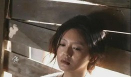 张兰最新爆料图片视频,揭秘幕后真相，视频图片曝光惊人内幕