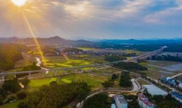 江油最新爆料消息视频,视频揭秘惊人真相！